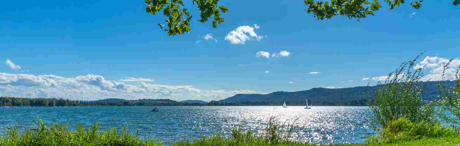 Leistungen & Services